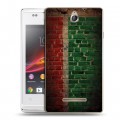 Дизайнерский пластиковый чехол для Sony Xperia E Флаг Чечни