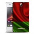 Дизайнерский пластиковый чехол для Sony Xperia E Флаг Белоруссии