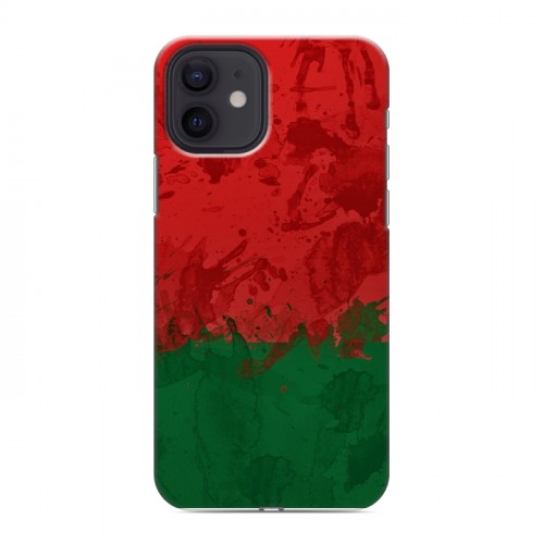 Дизайнерский силиконовый чехол для Iphone 12 Флаг Белоруссии