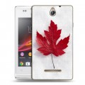 Дизайнерский силиконовый чехол для Sony Xperia E Флаг Канады