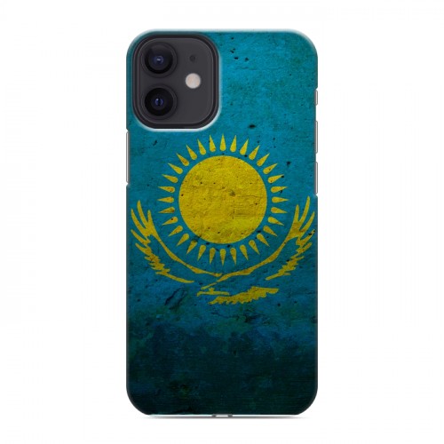 Дизайнерский пластиковый чехол для Iphone 12 Mini Флаг Казахстана