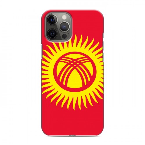 Дизайнерский силиконовый чехол для Iphone 12 Pro Max Флаг Киргизии