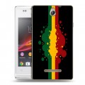 Дизайнерский пластиковый чехол для Sony Xperia E Флаг Раста