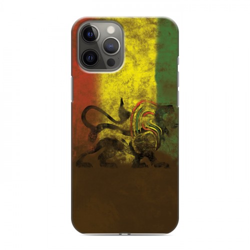Дизайнерский силиконовый чехол для Iphone 12 Pro Max Флаг Раста