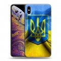 Дизайнерский силиконовый чехол для Iphone Xs Max Флаг Украины