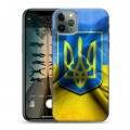 Дизайнерский пластиковый чехол для Iphone 11 Pro Max Флаг Украины