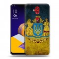 Дизайнерский пластиковый чехол для ASUS ZenFone 5 Lite Флаг Украины