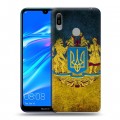 Дизайнерский пластиковый чехол для Huawei Y6 (2019) Флаг Украины