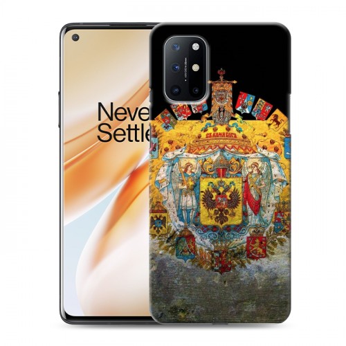 Дизайнерский пластиковый чехол для OnePlus 8T Российский флаг