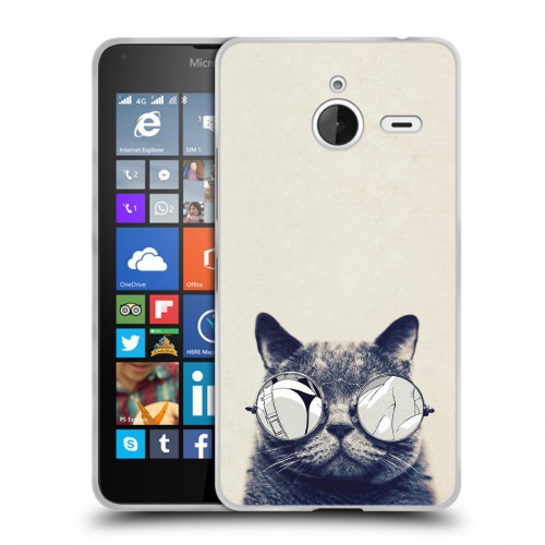 Дизайнерский пластиковый чехол для Microsoft Lumia 640 XL Кошки