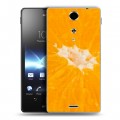 Дизайнерский пластиковый чехол для Sony Xperia TX Апельсины