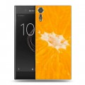 Дизайнерский пластиковый чехол для Sony Xperia XZs Апельсины