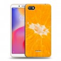 Дизайнерский пластиковый чехол для Xiaomi RedMi 6A Апельсины