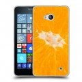 Дизайнерский пластиковый чехол для Microsoft Lumia 640 Апельсины