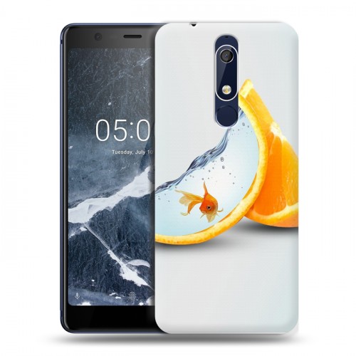 Дизайнерский пластиковый чехол для Nokia 5.1 Апельсины