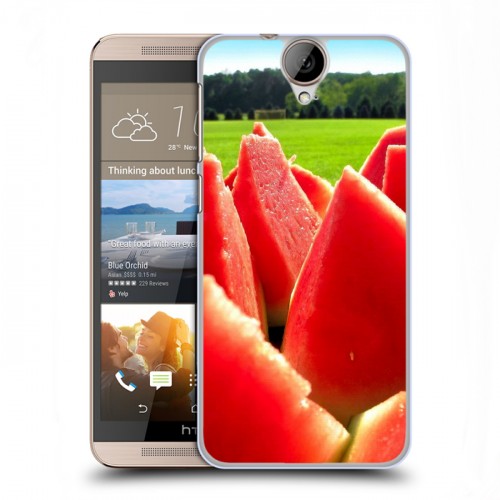 Дизайнерский пластиковый чехол для HTC One E9+ Арбузы