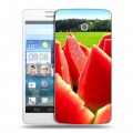 Дизайнерский пластиковый чехол для Huawei Ascend D2 Арбузы