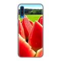 Дизайнерский пластиковый чехол для Samsung Galaxy A50 Арбузы