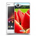 Дизайнерский пластиковый чехол для Sony Xperia L Арбузы