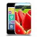 Дизайнерский пластиковый чехол для Nokia Lumia 530 Арбузы