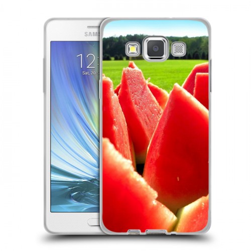 Дизайнерский пластиковый чехол для Samsung Galaxy A5 Арбузы