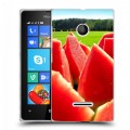 Дизайнерский пластиковый чехол для Microsoft Lumia 435 Арбузы