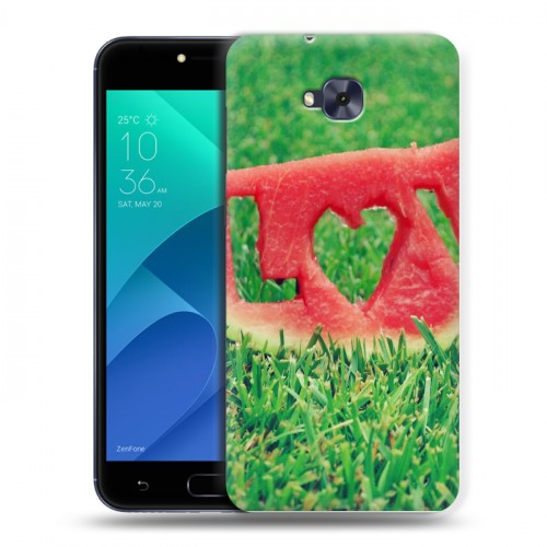 Дизайнерский пластиковый чехол для ASUS ZenFone 4 Selfie Арбузы