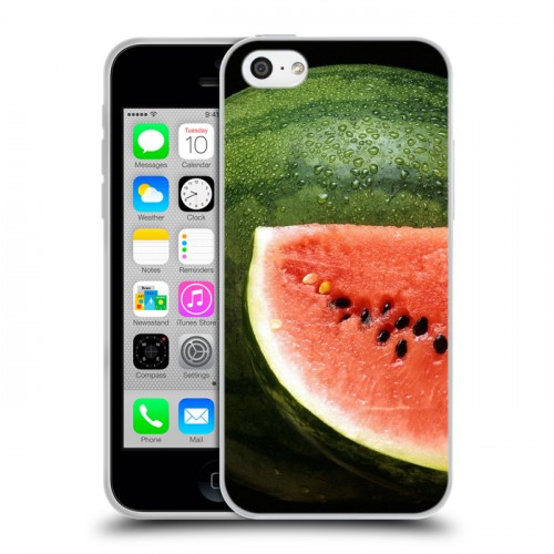 Дизайнерский пластиковый чехол для Iphone 5c Арбузы