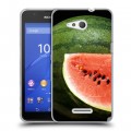 Дизайнерский пластиковый чехол для Sony Xperia E4g Арбузы