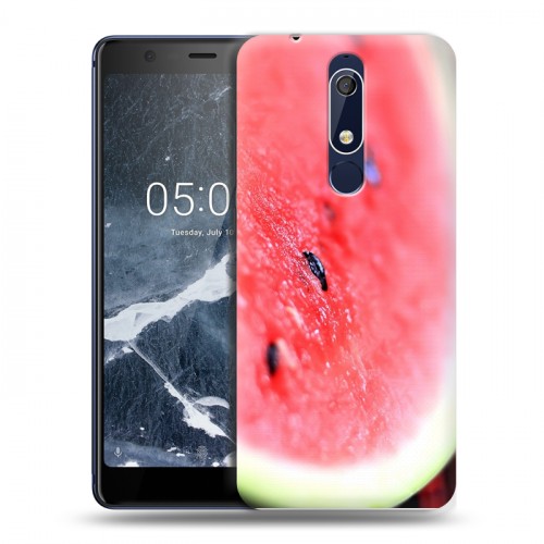 Дизайнерский пластиковый чехол для Nokia 5.1 Арбузы