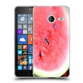 Дизайнерский пластиковый чехол для Microsoft Lumia 640 XL Арбузы