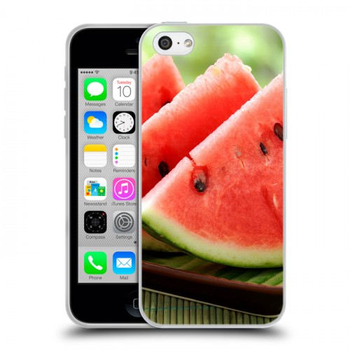 Дизайнерский пластиковый чехол для Iphone 5c Арбузы
