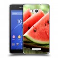 Дизайнерский пластиковый чехол для Sony Xperia E4g Арбузы