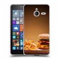 Дизайнерский пластиковый чехол для Microsoft Lumia 640 XL Бургеры
