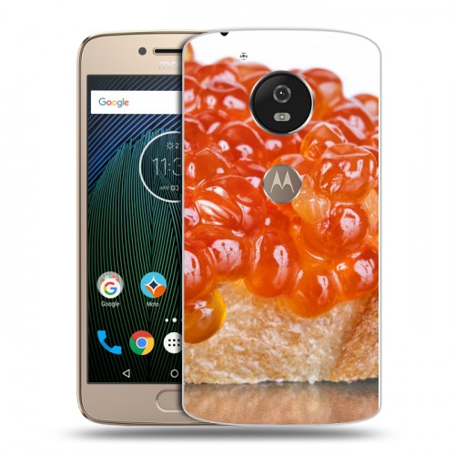 Дизайнерский силиконовый чехол для Motorola Moto G5s Икра
