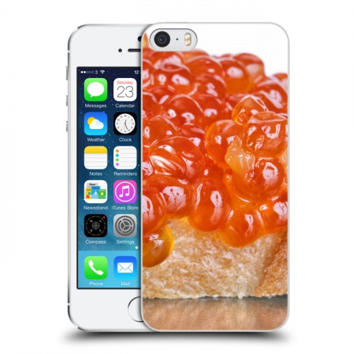 Дизайнерский пластиковый чехол для Iphone 5s Икра