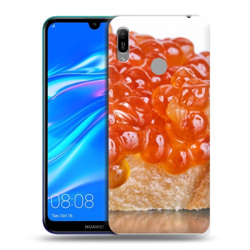 Дизайнерский пластиковый чехол для Huawei Y6 (2019) Икра