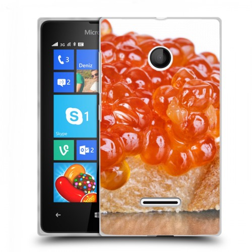 Дизайнерский пластиковый чехол для Microsoft Lumia 435 Икра