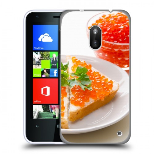 Дизайнерский пластиковый чехол для Nokia Lumia 620 Икра