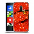 Дизайнерский пластиковый чехол для Nokia Lumia 620 Икра