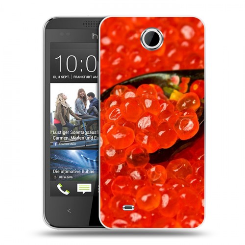 Дизайнерский пластиковый чехол для HTC Desire 300 Икра