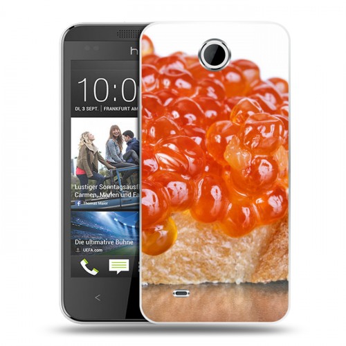 Дизайнерский пластиковый чехол для HTC Desire 300 Икра