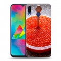 Дизайнерский пластиковый чехол для Samsung Galaxy M20 Икра