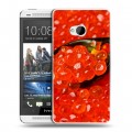 Дизайнерский пластиковый чехол для HTC One (M7) Dual SIM Икра