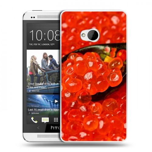 Дизайнерский пластиковый чехол для HTC One (M7) Dual SIM Икра