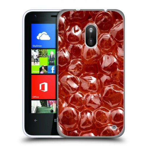 Дизайнерский пластиковый чехол для Nokia Lumia 620 Икра