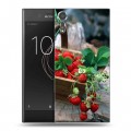 Дизайнерский пластиковый чехол для Sony Xperia XZs Клубника