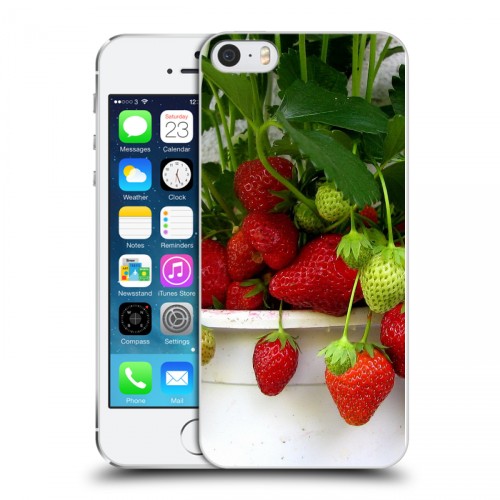 Дизайнерский пластиковый чехол для Iphone 5s Клубника