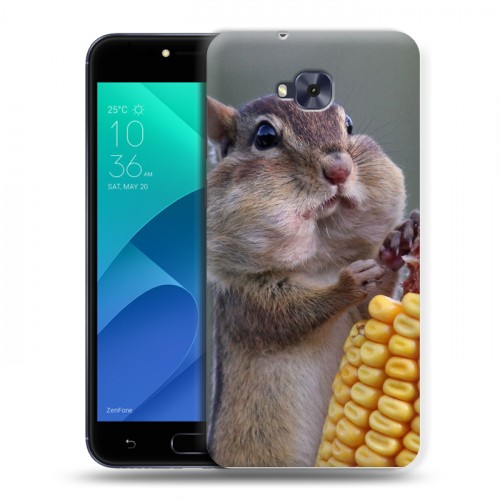 Дизайнерский пластиковый чехол для ASUS ZenFone 4 Selfie Кукуруза