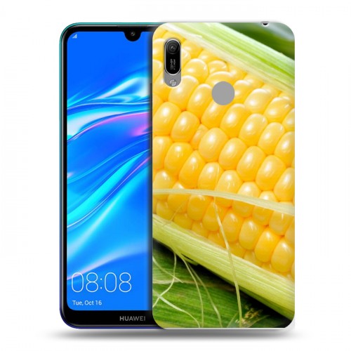 Дизайнерский пластиковый чехол для Huawei Y6 (2019) Кукуруза